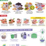 biodechets